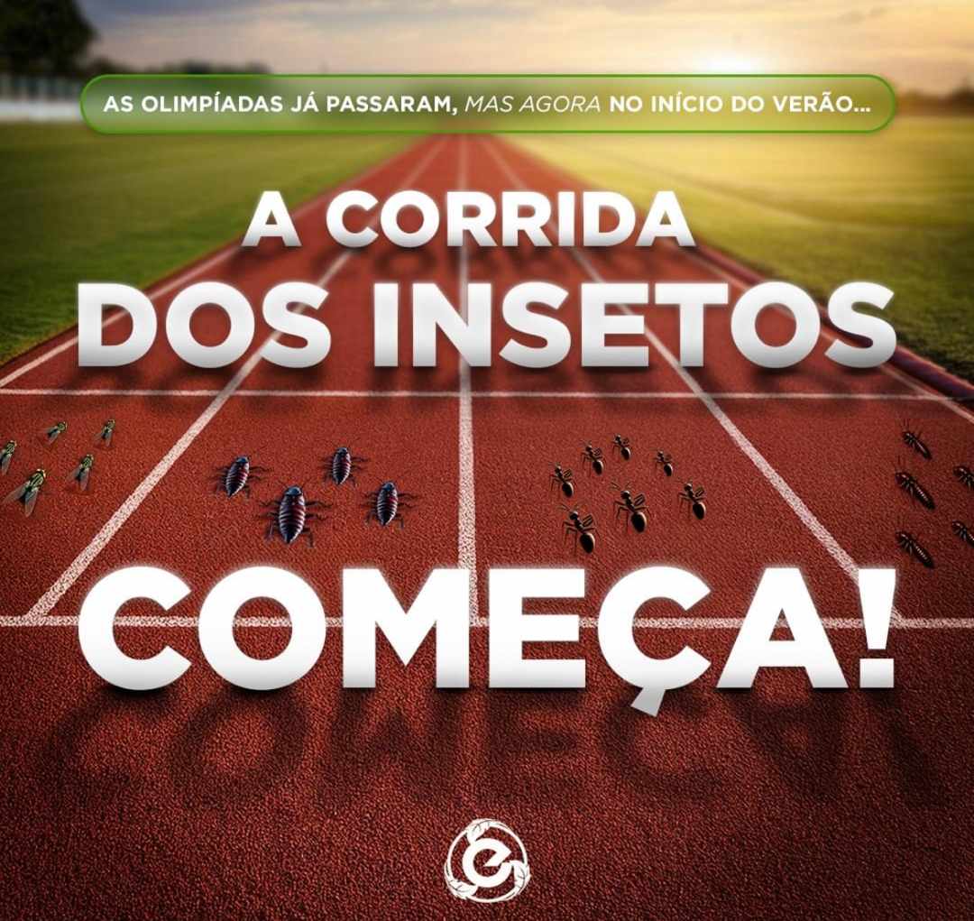 As Olimpíadas Acabaram, Mas a Corrida dos Insetos Está Só Começando — Você Está Preparado?